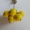 画像4: 1960's yellow ball earring